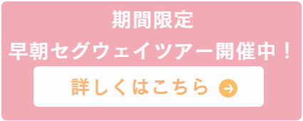 昭和記念公園セグウェイツアープライベートツアーはこちら